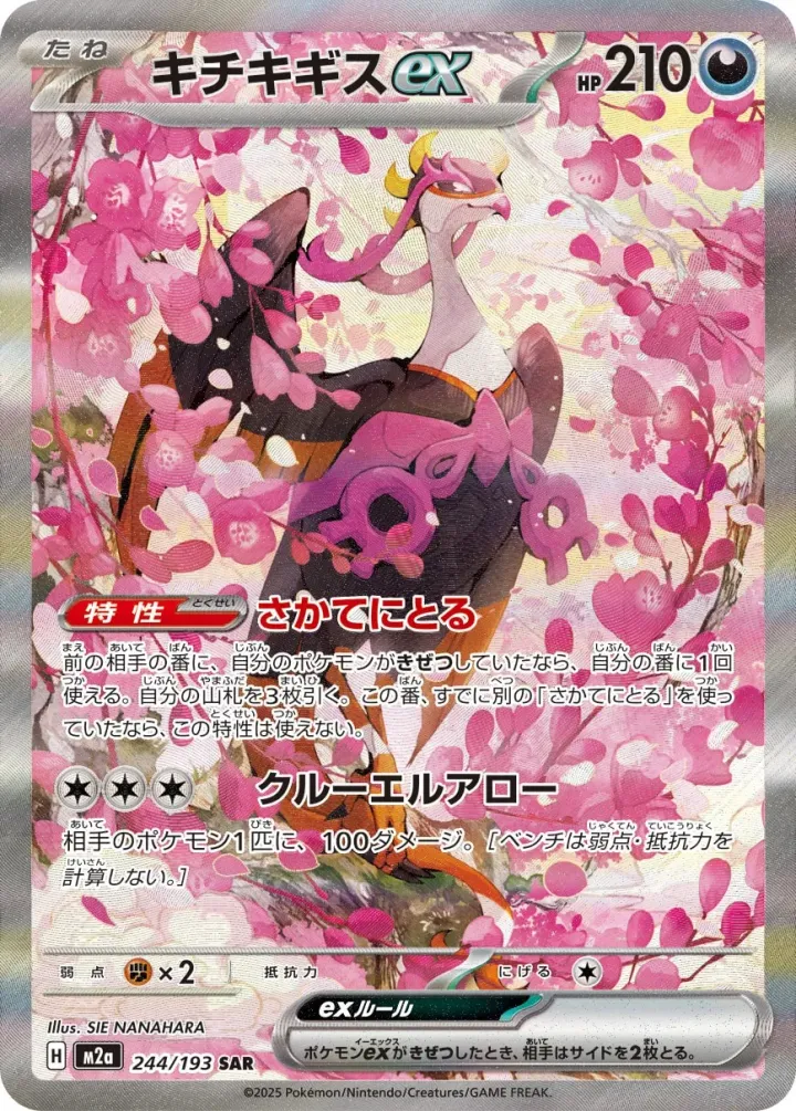 キチキギスex [M2a 244/193]