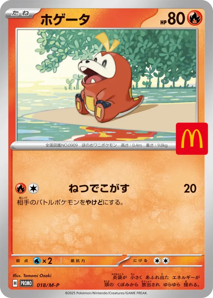 ホゲータ P