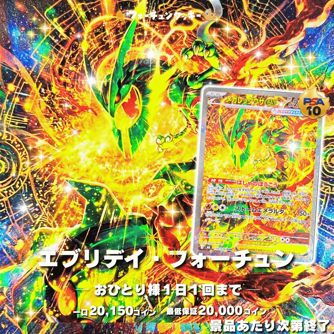 エブリデイフォーチュン　メガレックウザex